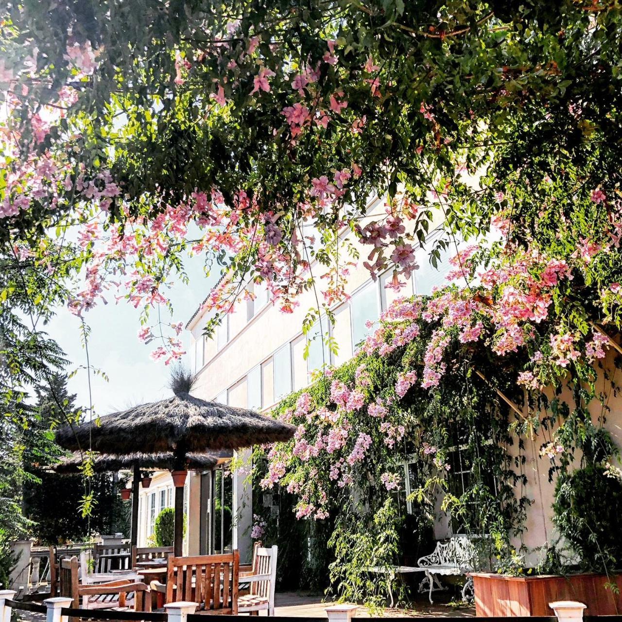 Hotel & Restaurant Figueres Parc Los Hostalets de Llers Kültér fotó